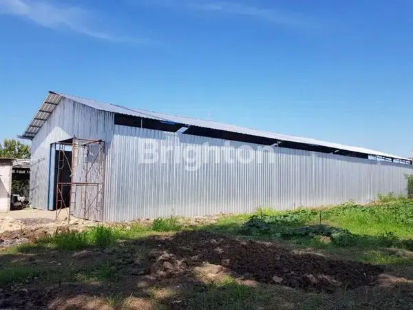 image GUDANG DI RAYA NGEMPLAK, MADE (4)