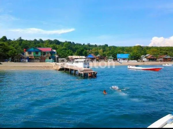 TANAH DARAT DEKAT PANTAI DI PULAU MOYO SUMBAWA NUSA TENGGARA BARAT