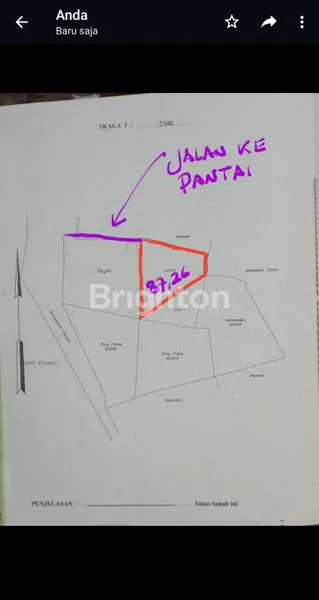 image TANAH DARAT DEKAT PANTAI DI PULAU MOYO SUMBAWA NUSA TENGGARA BARAT (4)