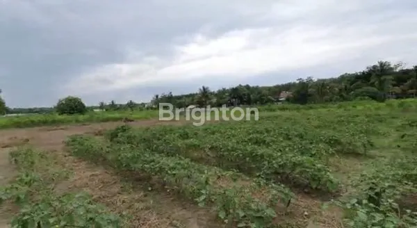 image TANAH LOKASI PREMIUM PINGGIR JALAN SIAP BANGUN (3)