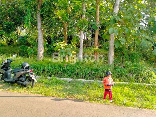 image TANAH COCOK UTK RUMAH TINGGAL DAN KOS2AN GUNUNG PATI DEKET UNWANHAS (2)