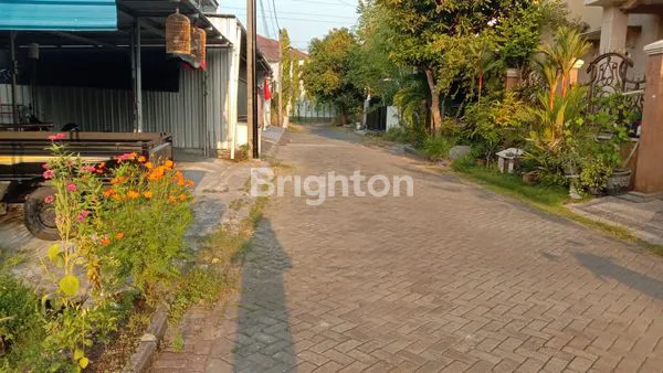 image TANAH LOKASI STRATEGIS TAMAN PINANG (4)