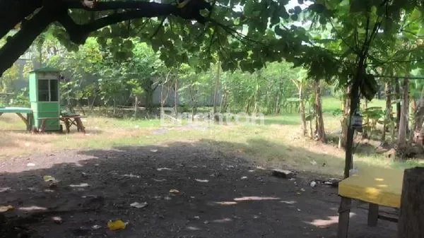 image TANAH SIDOARJO (1)