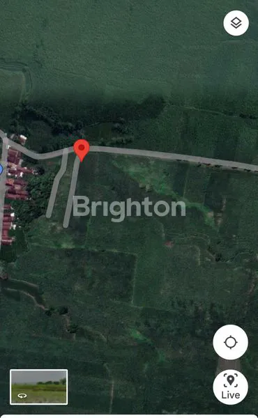 JUAL TANAH PERTANIAN MOJOKERTO