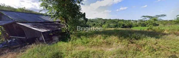 image TANAH DI KILO 12 (2)