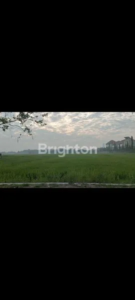 Gambar Property DI JUAL TANAH RAYA SEDATI AGUNG SIDOARJO