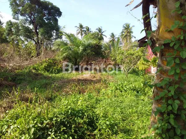 image HOTEL DAN TANAH DI PINGGIR JALAN BESAR DAN DI JANTUNG IKN (4)