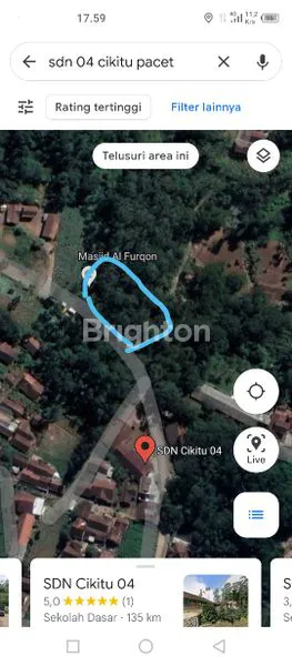 image TANAH KEBUN BESERTA POHON EUCAQ6 DI PACET, BANDUNG (8)