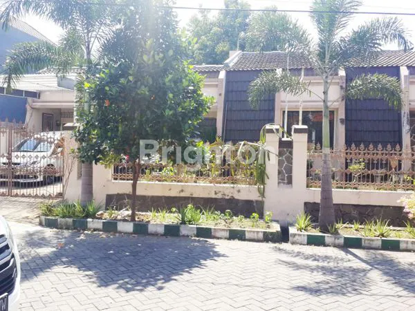 image MURAH KETINTANG MADYA (1)