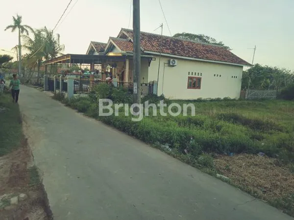 TANAH COCOK UTK USAHA