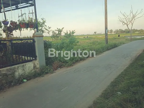 image TANAH COCOK UTK USAHA  (2)