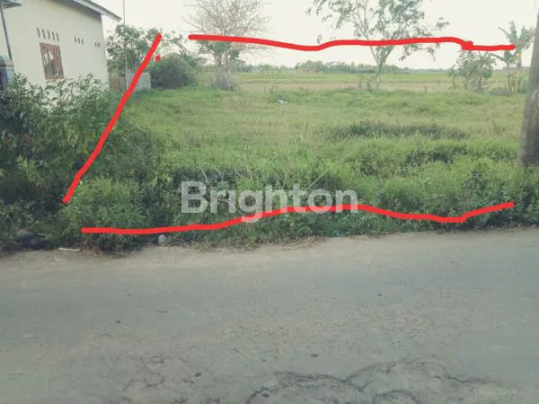 image TANAH COCOK UTK USAHA  (3)