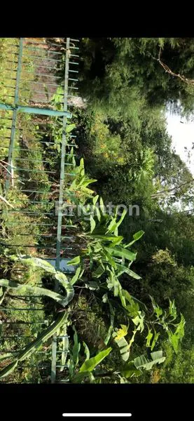 image TANAH AREA VILLA SEKUTI DEKAT CIMORY (8)