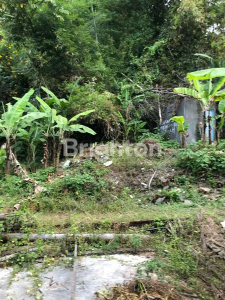 image TANAH AREA VILLA SEKUTI DEKAT CIMORY (6)