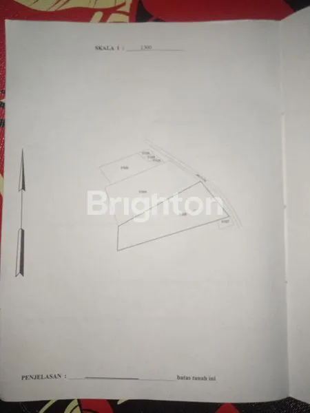 image TANAH DAN KEBUN KELAPA SAWIT DI PENAJAM 2 LAHAN (8)