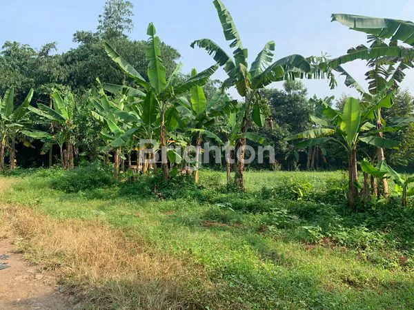 image TANAH BOJONG NANGKA (2)