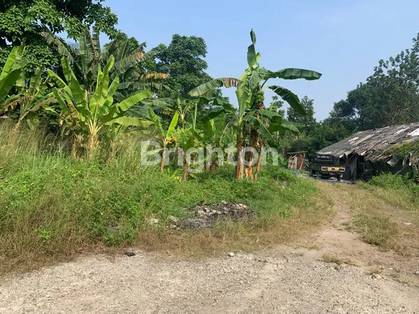 image TANAH BOJONG NANGKA (1)