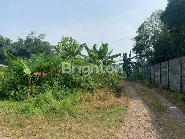 image TANAH BOJONG NANGKA (4)