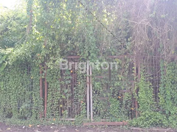 image JUAL TANAH BUDURAN (1)