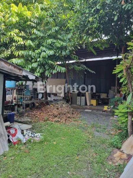 image RUMAH COCOK UNTUK KANTOR DI HALMAHERA SEMARANG (3)