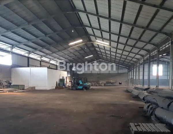 image JUMBO LT 0,95 HA    (2)