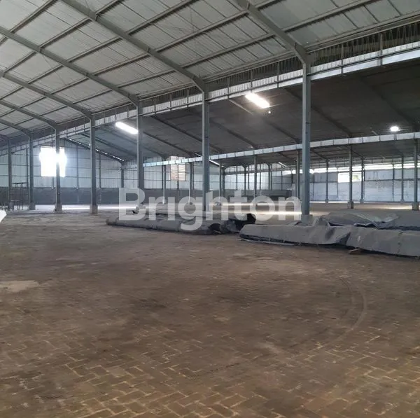 image JUMBO LT 0,95 HA    (1)