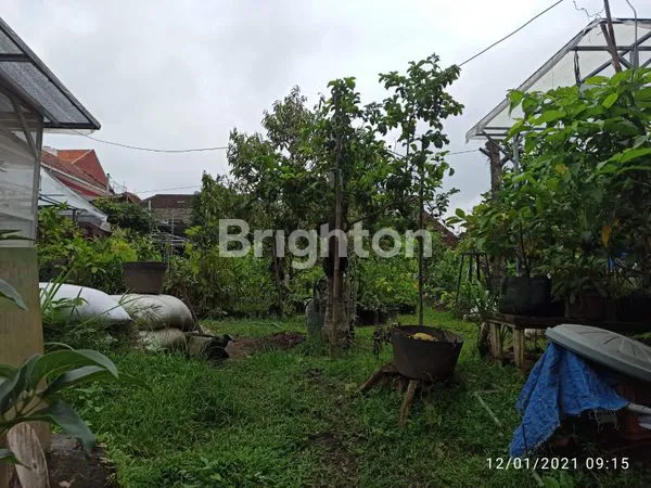 image RUMAH DENGAN TANAH LUAS BELAKANG KAMPUS (4)