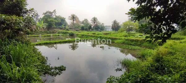 image TANAH LUAS DAN BANGUNAN RUMAH DAERAH SEJUK PINGGIR JALAN (6)