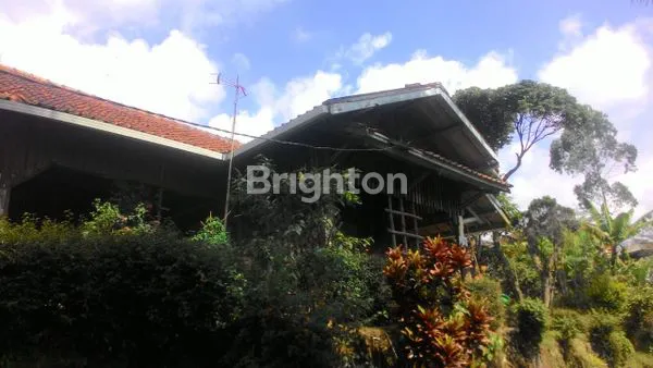 image TANAH MURAH COCOK UNTUK VILLA CIWIDEY KP MUARA BANDUNG (6)