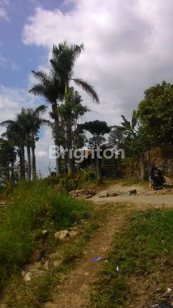 image TANAH MURAH COCOK UNTUK VILLA CIWIDEY KP MUARA BANDUNG (5)