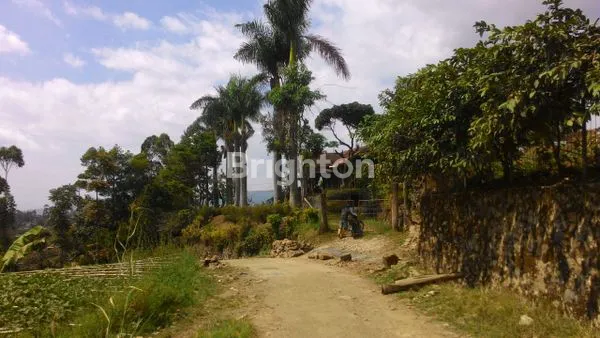 image TANAH MURAH COCOK UNTUK VILLA CIWIDEY KP MUARA BANDUNG (7)