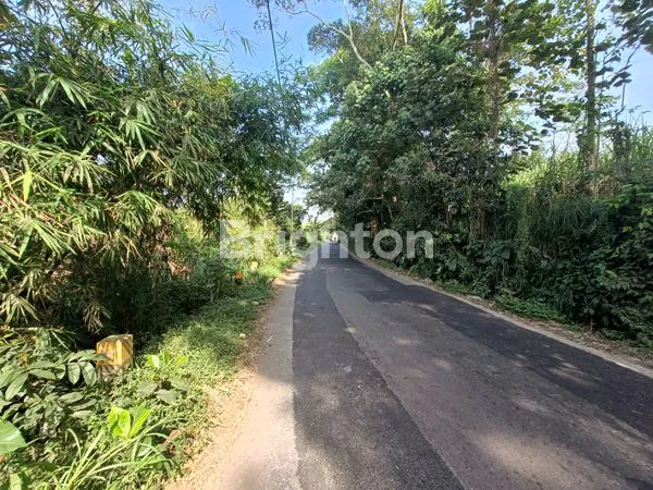 image TANAH MURAH DIKELILINGI PABRIK PABRIK DAN PERUMAHAN HANYA 10 MENIT KE EXIT TOL (3)