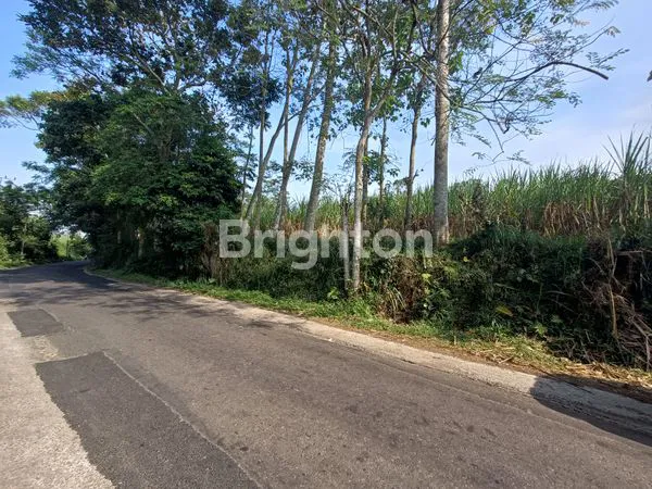 image TANAH MURAH DIKELILINGI PABRIK PABRIK DAN PERUMAHAN HANYA 10 MENIT KE EXIT TOL (4)