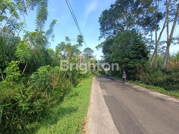 image TANAH MURAH DIKELILINGI PABRIK PABRIK DAN PERUMAHAN HANYA 10 MENIT KE EXIT TOL (5)