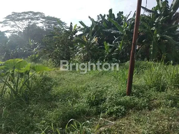 image TANAH BAGUS BUAT PERUMAHAN/CLUSTER (1)