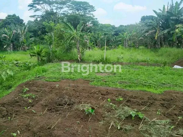 image TANAH BAGUS BUAT PERUMAHAN/CLUSTER (4)