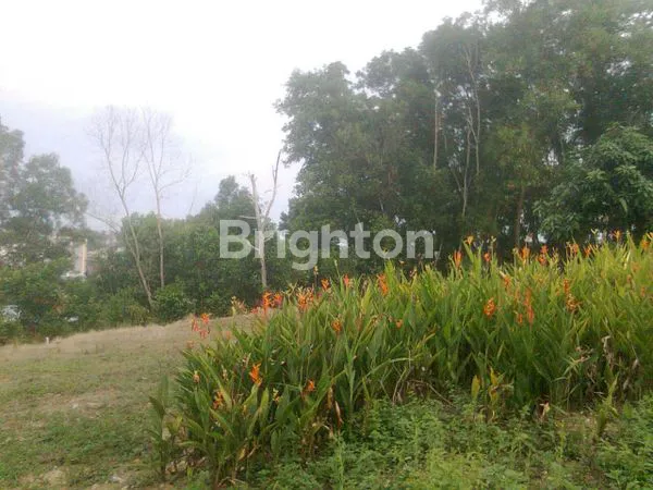 image TANAH LUAS DI PINGGIR JALAN BESAR DEKAT RUMAH SAKIT SILOAM BALIKPAPAN (3)