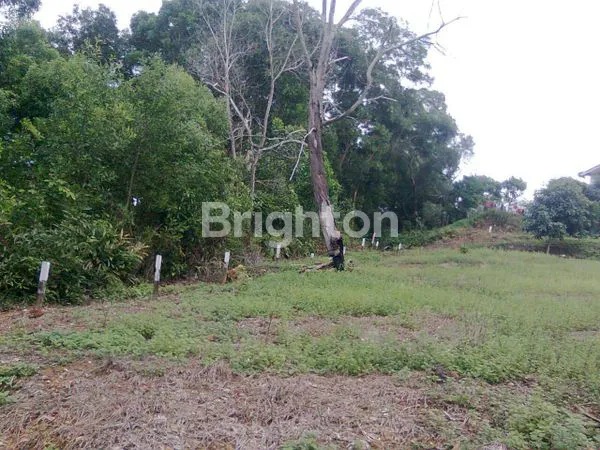 image TANAH LUAS DI PINGGIR JALAN BESAR DEKAT RUMAH SAKIT SILOAM BALIKPAPAN (7)