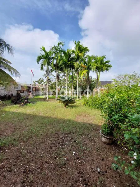 image LOKASI SANGAT NYAMAN UNTUK TINGGAL (2)