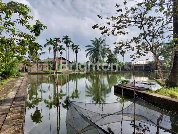 image LOKASI SANGAT NYAMAN UNTUK TINGGAL (8)