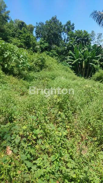 image TANAH DI KLUNGKUNG , BALI (5)