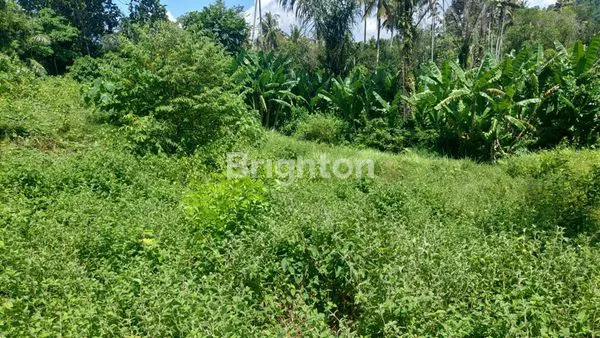 image TANAH DI KLUNGKUNG , BALI (1)