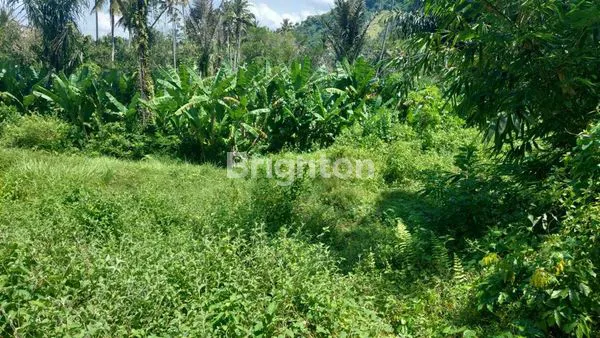 image TANAH DI KLUNGKUNG , BALI (3)