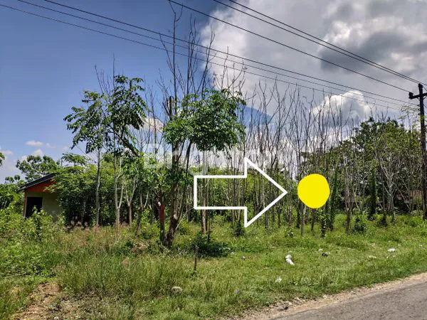 image TANAH ZONA MERAH DI MOJOREJO SUKOHARJO (2)