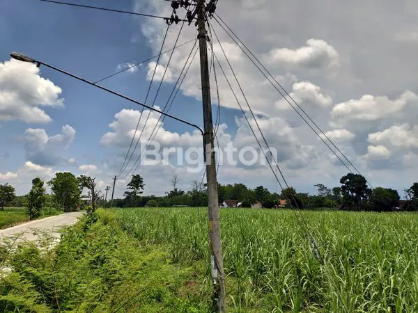 image TANAH HOOK DI PUHGOGOR SUKOHARJO (2)
