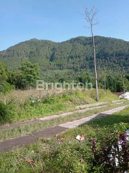 image DIJUAL TANAH KOPENG VIEW PEGUNUNGAN MURAH VIEW BAGUS (2)
