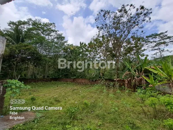 image RUMAH + TANAH LUAS DI KARANGKATES  BLITAR (12)