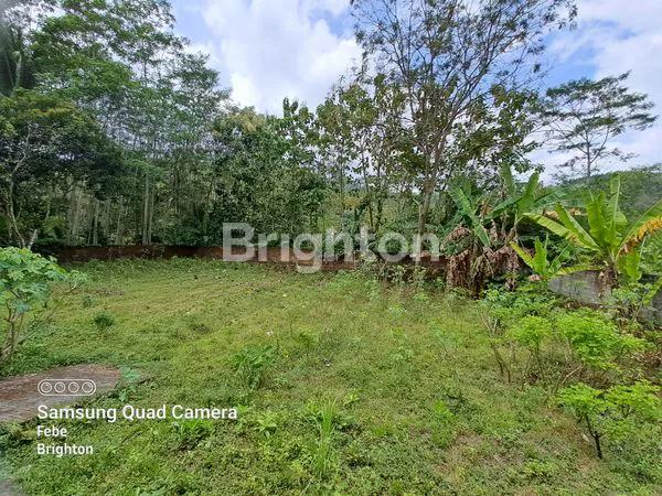 image RUMAH + TANAH LUAS DI KARANGKATES  BLITAR (13)