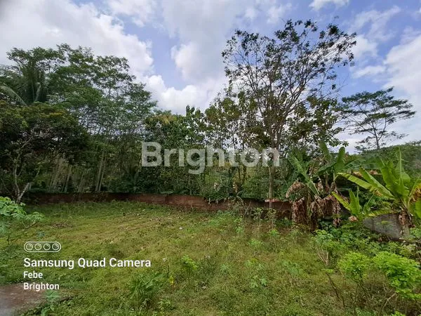 image RUMAH + TANAH LUAS DI KARANGKATES  BLITAR (15)