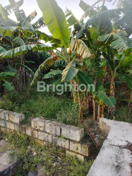 Gambar Property SEBIDANG TANAH LOKASI NOL JALAN RAYA KLAGEN